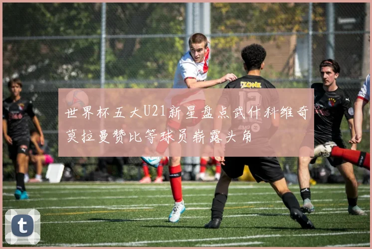 世界杯五大U21新星盘点武什科维奇莫拉曼赞比等球员崭露头角